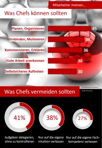 Infofgrafik - Führen - Können - Unterlassen
